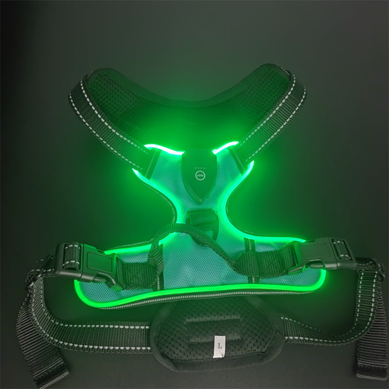 NightGuard™ – Pettorina LED Ricaricabile ad Alta Visibilità per Cani e Gatti