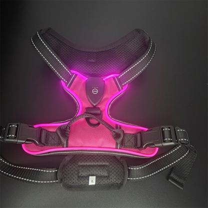NightGuard™ – Pettorina LED Ricaricabile ad Alta Visibilità per Cani e Gatti