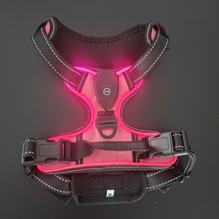 NightGuard™ – Pettorina LED Ricaricabile ad Alta Visibilità per Cani e Gatti