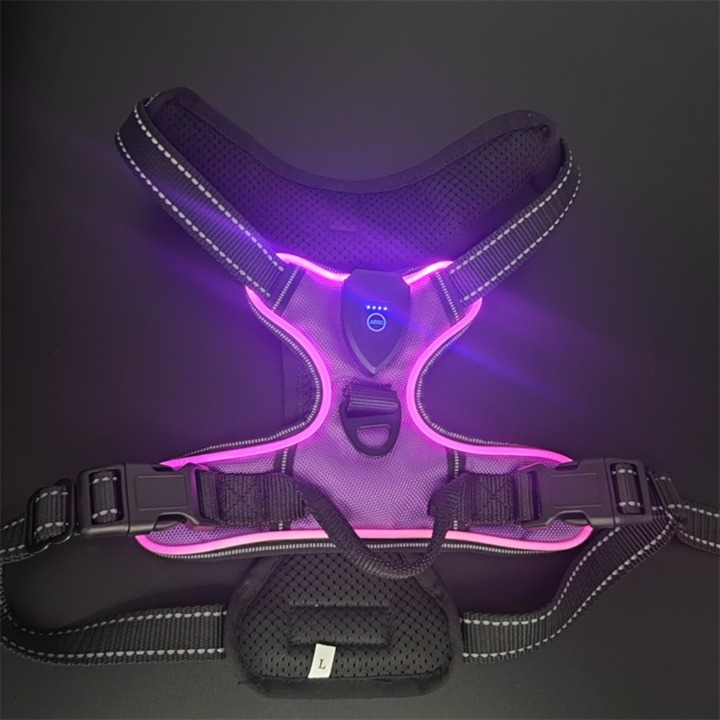 NightGuard™ – Pettorina LED Ricaricabile ad Alta Visibilità per Cani e Gatti