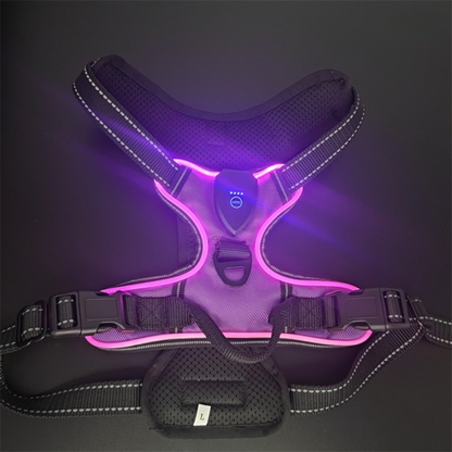 NightGuard™ – Pettorina LED Ricaricabile ad Alta Visibilità per Cani e Gatti