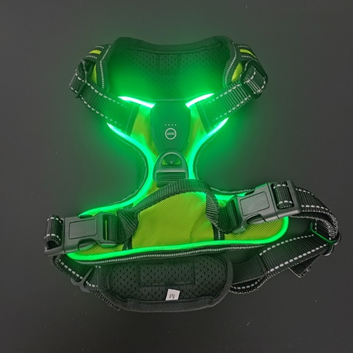 NightGuard™ – Pettorina LED Ricaricabile ad Alta Visibilità per Cani e Gatti