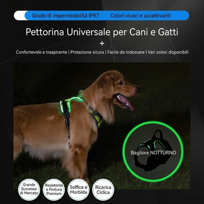 NightGuard™ – Pettorina LED Ricaricabile ad Alta Visibilità per Cani e Gatti