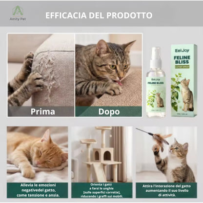 Feline Bliss™: Lo Spray Addestrativo e Attrattivo all'Erba Gatta Naturale